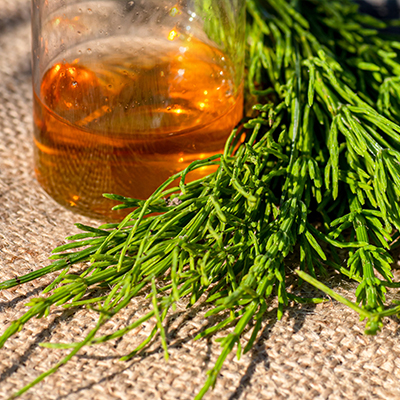 Horsetail Extract​